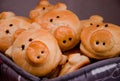 Delicious cookies in form of small nice pigs Royalty Free Stock Photo