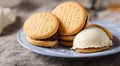 Delicious cookies with sparks on a plate, concept gastronomic photography in high resolution and sharpness