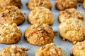 Delicious cookies on the tray,close up