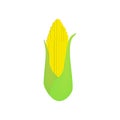 Delicious corn icon