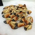 Delicious crab Royalty Free Stock Photo