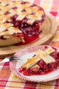 Delicious cranberry and apple pie