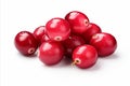Delicious cranberry fruit isolated on white background for high quality advertising and promotions