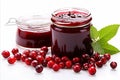 Delicious cranberry jam in glass jar on white background ample copy space for text placement