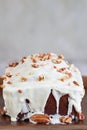 Delicious Cranberry Sweet Bread with Pecans and White Chocolate Candy Frosting