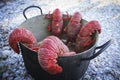 Cooked Crayfish in a pot