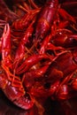 Delicious crayfish Royalty Free Stock Photo