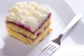 Delicious cream cake dessert Royalty Free Stock Photo