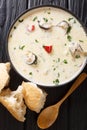 Delicious creamy fish soup with eel, cheese and vegetables close-up in a bowl. Vertical top view Royalty Free Stock Photo