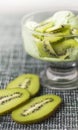 Delicious creamy green ice cream served with fresh sliced kiwi Royalty Free Stock Photo