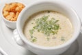 Delicious creamy soup with croutons and greens on white dish