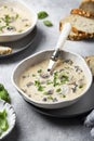 Delicious creamy soup with mushrooms and garlic