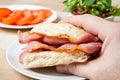 Delicious crispy bacon sandwich Royalty Free Stock Photo