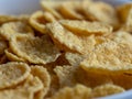 Delicious crispy and healthy cornflakes closeup.