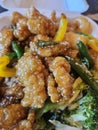 Delicious Crispy Sweet and Sour chicken