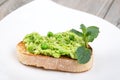 Delicious crostini with puree of raw beans and peas Royalty Free Stock Photo