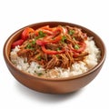 Delicious Cuban Ropa Vieja with Rice in a Bowl for Your Next Recipe Book.