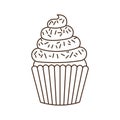 Delicious cupcake with cream on white background