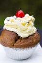 Delicious cupcake with whipped cream