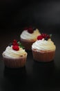 Delicious cupcakes with berries Royalty Free Stock Photo