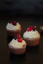 Delicious cupcakes with berries Royalty Free Stock Photo