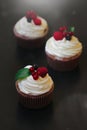 Delicious cupcakes with berries