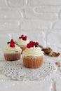 Delicious cupcakes with berries Royalty Free Stock Photo