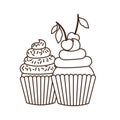 Delicious cupcakes with cream on white background