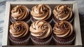 Delicious cupcakes in white box Royalty Free Stock Photo