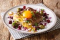 Delicious Danish Pariserbof served with raw egg yolk, mustard an