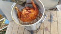 Delicious deep fried turkey