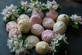 Delicious delicate white-pink marshmallows along with a flowering branch of an apple tree