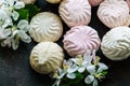 Delicious delicate white-pink marshmallows along with a flowering branch of an apple tree