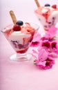 Delicious dessert Royalty Free Stock Photo