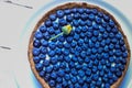 Delicious dessert blueberry tart with fresh berries, sweet tasty cheesecake, berry, bog bilberry, whortleberry pie Royalty Free Stock Photo