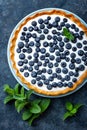 Delicious dessert blueberry tart with fresh berries and whipped cream, sweet tasty cheesecake, berry pie Royalty Free Stock Photo