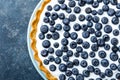 Delicious dessert blueberry tart with fresh berries and whipped cream, sweet tasty cheesecake, berry pie Royalty Free Stock Photo