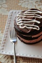 Delicious dessert of dark chocolate cake and thick, creamy frosting