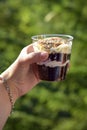 Delicious dessert in transparent glass in woman`s hand against green background. Close-up. Trifle is delicate sweet dessert