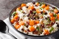 Delicious dietary rice with sweet potatoes, nuts, pecans, onions and dried cranberries close-up in a bowl. Horizontal