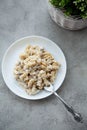 Delicious dish fusilli pasta with creamy mushroom sauce on a gray stone table,top view Royalty Free Stock Photo