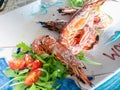 Dish of grilled prawns, with salad and tomatoes