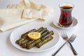 Delicious dolma sarma stuffed grape leaves. middle eastern cuisine Royalty Free Stock Photo