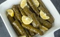 Delicious dolma sarma stuffed grape leaves rice,. Lebanese dolma sarma on plate. Lebanon turkish greek middle eastern cuisine. Royalty Free Stock Photo