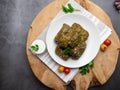 Delicious dolma sarma stuffed grape leaves rice, white yogurt sauce. Lebanese dolma sarma on plate. Lebanon turkish greek middle Royalty Free Stock Photo