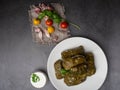 Delicious dolma sarma stuffed grape leaves rice, white yogurt sauce. Lebanese dolma sarma on plate Royalty Free Stock Photo