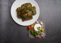 Delicious dolma sarma stuffed grape leaves rice, white yogurt sauce. Lebanese dolma sarma on plate Royalty Free Stock Photo