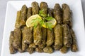 Delicious dolma sarma stuffed grape leaves rice, white yogurt sauce. Lebanese dolma sarma on plate. Lebanon turkish greek middle Royalty Free Stock Photo