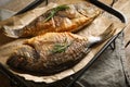 Delicious dorado fish with rosemary on table, closeup