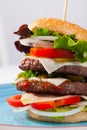 Double tasty hamburger with beef cutlet, fresh vegetables and cheese Royalty Free Stock Photo